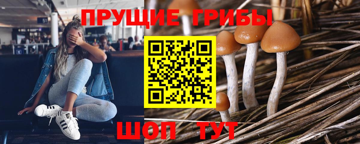 Псилоцибиновые грибы мухоморы  Псилоцибиновые грибы Psilocybine cubensis  Вход с VPN  Барабинск 